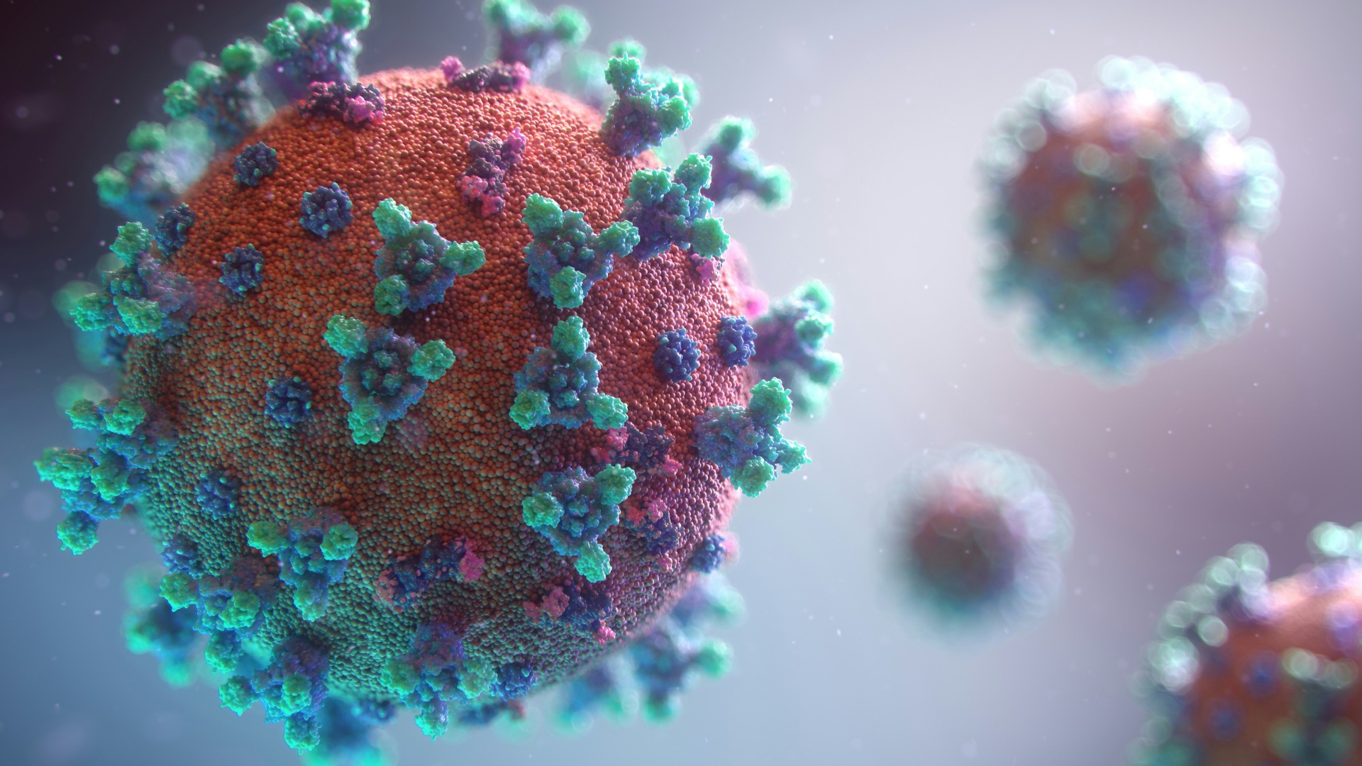3D rendering of virus particles with spike proteins